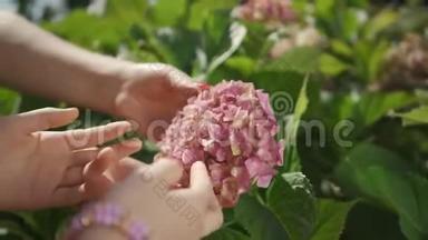 妈妈和女儿亲密的双手呵护着花园里的粉红色花朵，欣赏着它的美丽。 幸福家庭